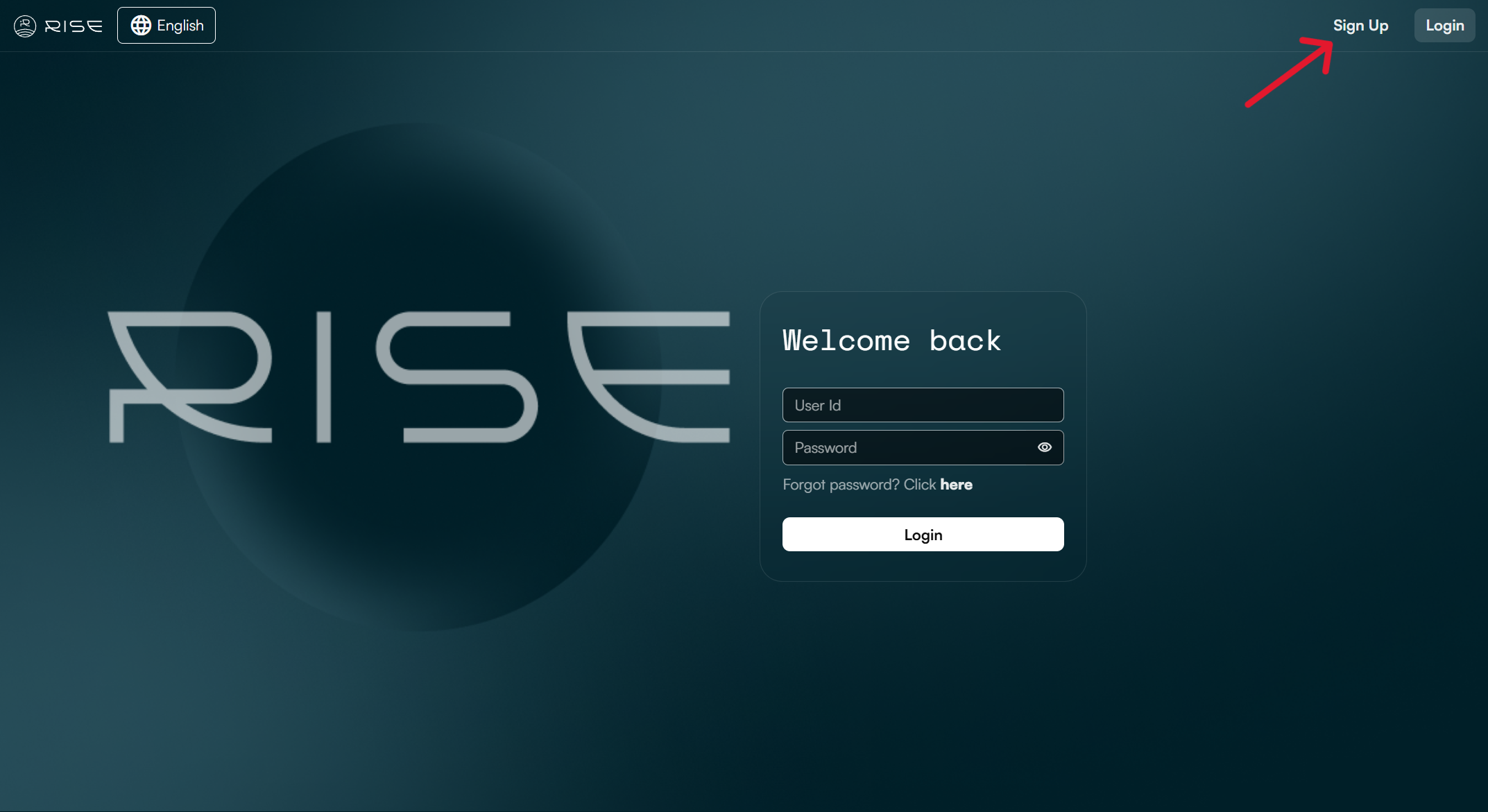 _images/01_Creation-Org_Landing-Page.png